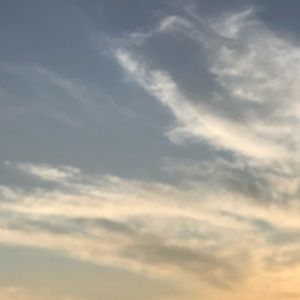 Meet your Posher, Cameron